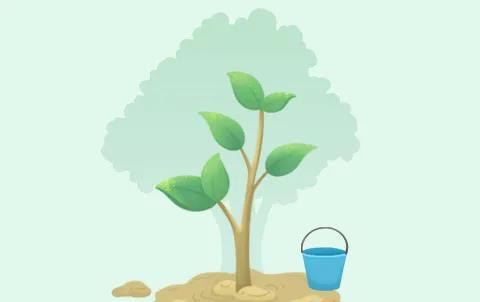 春种一抹绿 秋收万顷林 ——福州市书生实验学校植树活动