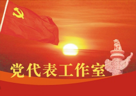 关于推荐市党代表候选人提名名单报告单